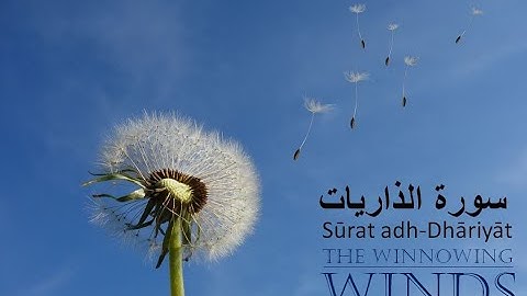 Surah Az-Zariat Full ||سورة الذاريات| 051 | Surah Az Dhariyat