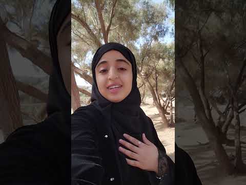 قلبي في المدينة