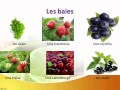 французский язык УРОК № 30  les  fruits et les baies