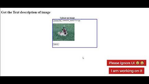 Image Caption Generator using Deep Learning