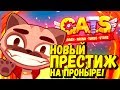 ПРОНЫРА НА НОВОМ ПРЕСТИЖЕ В CATS #25