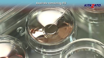 Kitazato Cryotop®SC Oocyte Vitrification+Thawing - Closed System