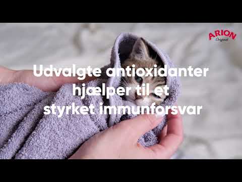 Video: Betydningen Af antioxidanter I Foder Til Kæledyr