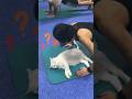 Cute Cat Becomes Gym Teacher | Dodo Kids