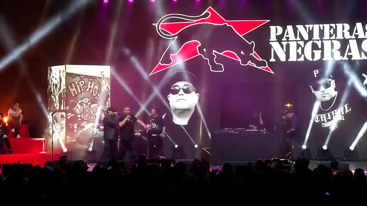 Panteras Negras - 30 Años de Rap Chileno