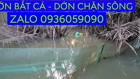 Bán dớn bắt cá. Bán dớn chặn sông. Bán xăm chặn sông. Bán xăm bắt cá.