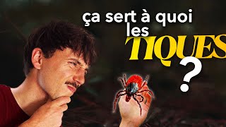 Ça Sert À Quoi Les Tiques ?