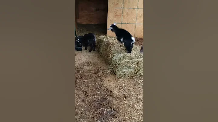 Hey who moved the wall