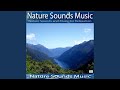 Nature sounds music