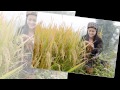 Người đến Từ Triều Châu Quang Linh Người đến Từ Triều Châu Quang Linh