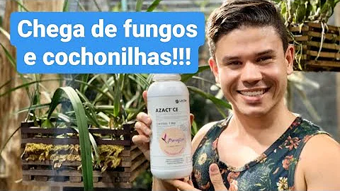 Como usar o fungicida?