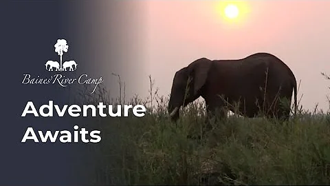 Unveil the Full Experience at Baines' River Camp: Adventure Awaits! 🐘🎣🌅