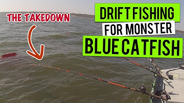 Drift Fishing Big Monster Blue Catfish (Need Net Man) Live Action
