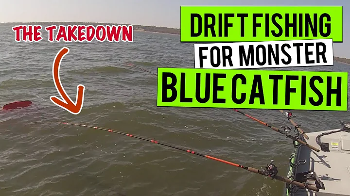 Drift Fishing Big Monster Blue Catfish (Need Net Man) Live Action