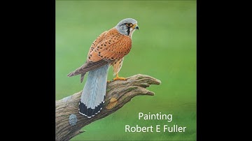 Sounds of the Yorkshire Wolds: How to Recognise Birds by Song | My Wildlife Hacks | Robert E Fuller