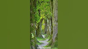 Choose where you would want to take a walk pt. 8 #aesthetic #vibes #calm #relaxing #relax #peace