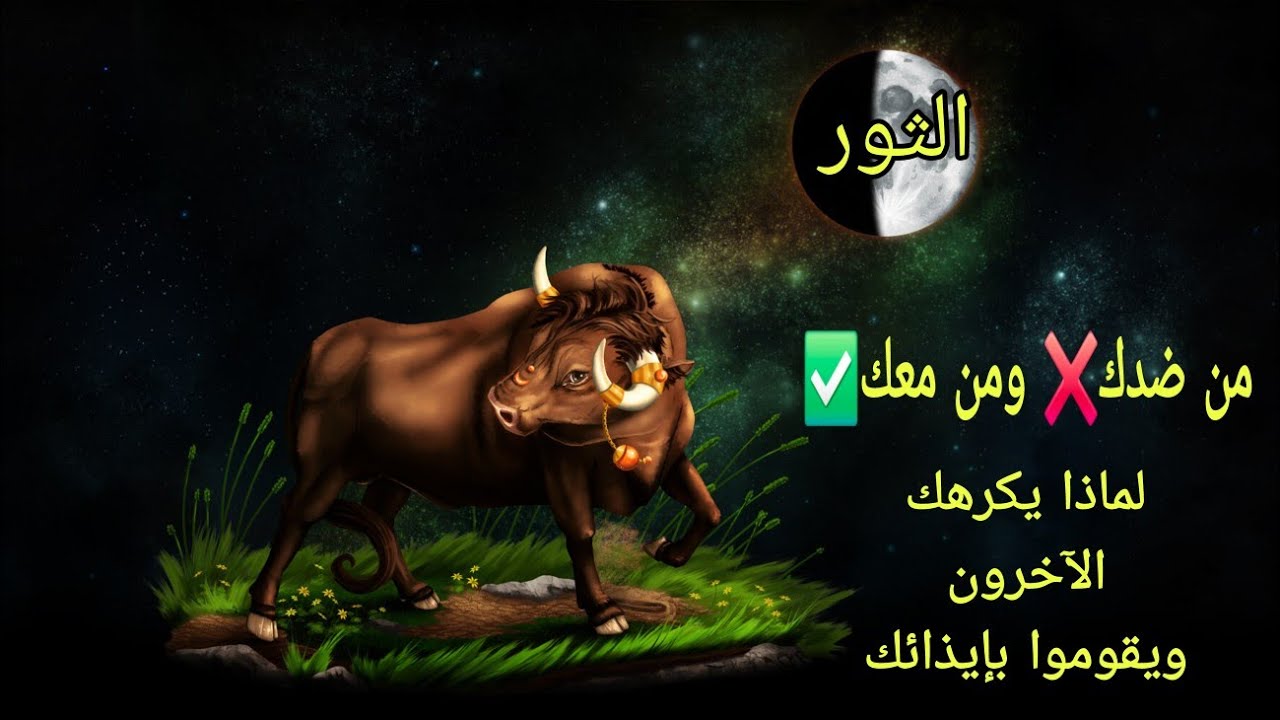تاروت برج الثور♉️من ضدك❌️ومن معك✅️ولماذا يكرهك الآخرون ويقوموا بإيذائك😓