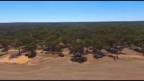 Parrot Bebop2 first flight with FFP App instead of the Skycontroller