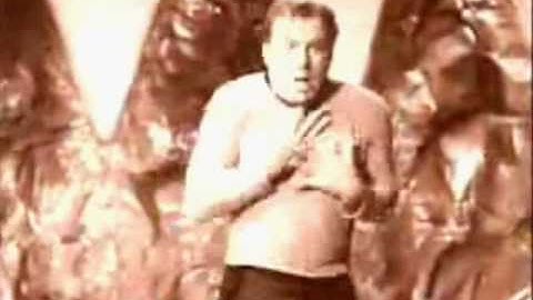 THE WHIP TRASH - VIDEO STAR TREK - LABEL KITSUNE