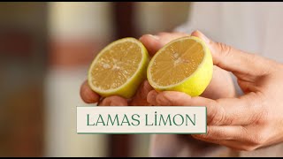 Şef Mehmet Ali Börtücene Ile Lamas Limon Tadımı...