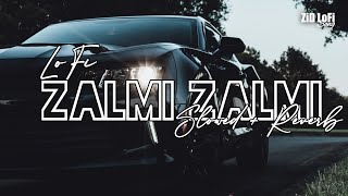 Zalmi Zalmi - Arabic Song - [ Slowed+Reverb ] - ZiD LoFi SonG