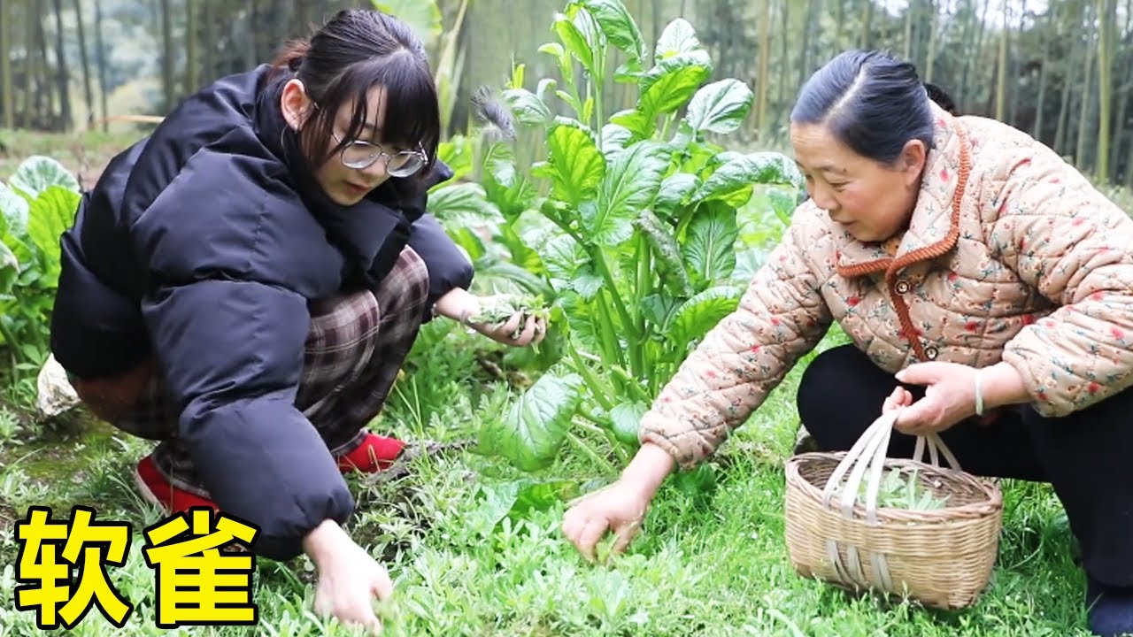 天气回暖，幺妈和思宇上山摘一筐清明草，加入糯米粉两种吃法糯糯叽叽香极了！【幺妈和幺叔】