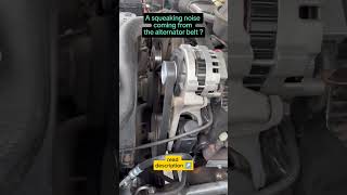 squeaking noise coming from the alternator belt ??