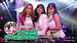 Download Lagu DJ ditinggal pas sayang sayange || DJ slow terbaru Safira inema 2021 Download Lagu DJ ditinggal pas sayang sayange || DJ slow terbaru Safira inema 2021