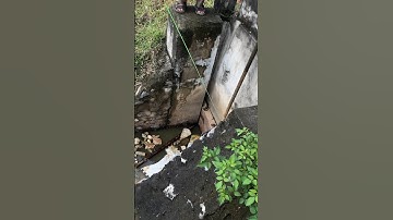 xem câu cá rô đồng chả đc cái con nào #tintuc #trending #shorts #xuhuong #xuhuongtiktok #racthai