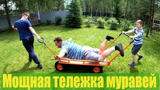 Мощная [тележка муравей]