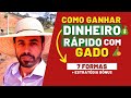COMO GANHAR DINHEIRO RÁPIDO COM GADO | 7 formas + Estratégia BÔNUS