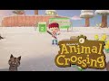 Строим мост, готовимся к приезду переселенцов Animal Crossing New Horizons