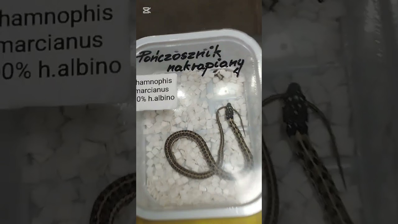 Części wystawy Expo Łódź.