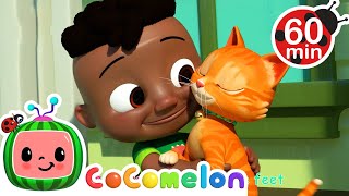 CoComelon - Pet Care | Learning Videos For Kids | Education Show For Toddlers