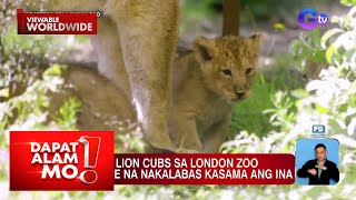 Simbahan sa gitna ng bundok; Kite festival sa Batangas, silipin (May 9, 2024) | Dapat Alam Mo