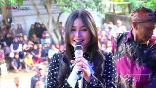 JAYANTI - DIAN ANIC |   ANICA NADA 09 NOVEMBER 2025 | SALAMDARMA | ANJATAN | INDRAMAYU