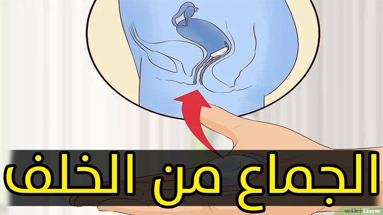 الاسلام ختان المرأة في ختان الإناث