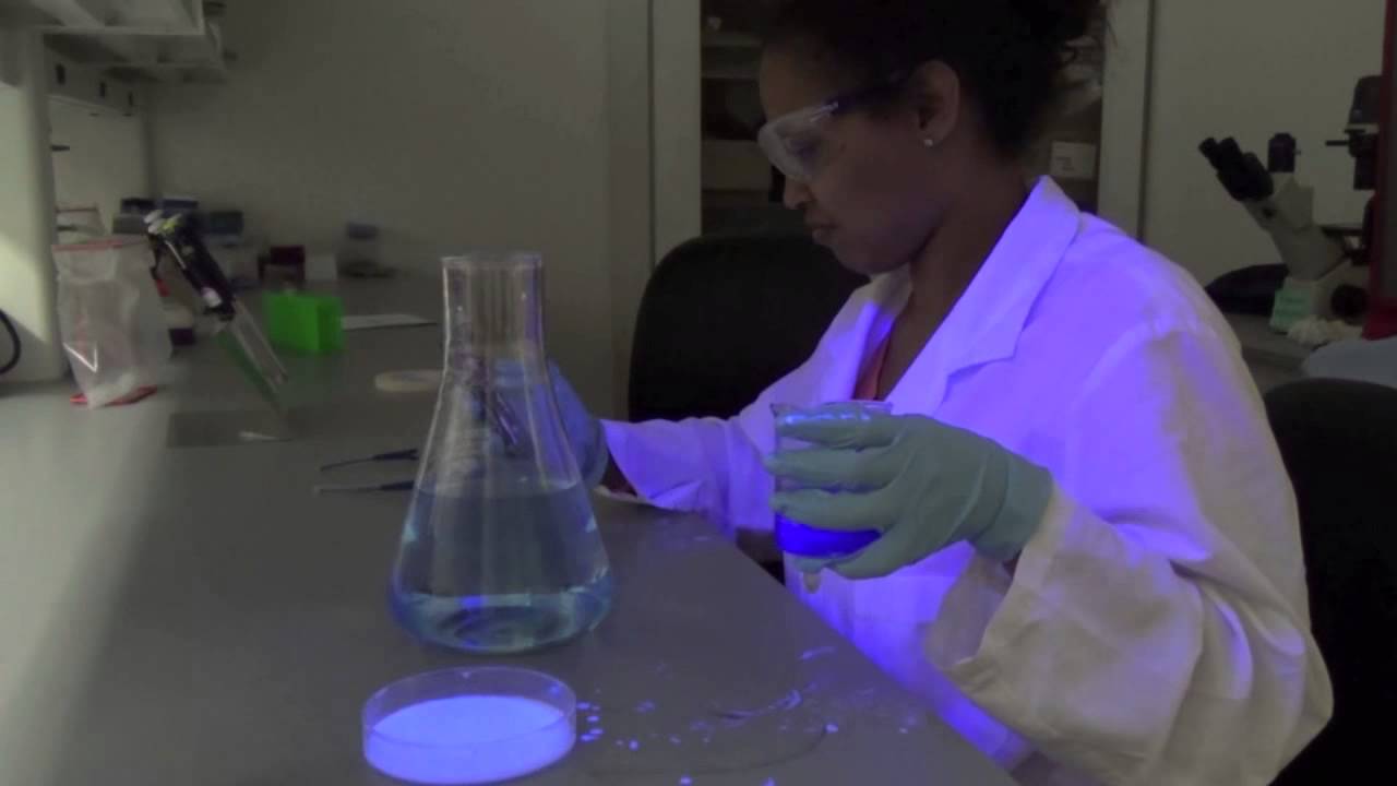 Cell Phone Use in the Research Lab YouTube