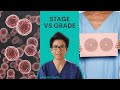 Understanding Breast Cancer: Grade vs. Stage