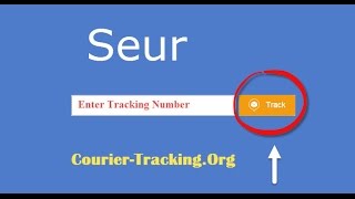 International Seur Courier Tracking Guide screenshot 2