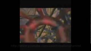 Cell complexity - Design or happened by itself ? Part 1/2