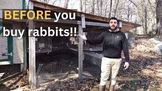 Everything You Should Consider BEFORE Raising Meat Rabbits