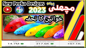 New Pico Designs 2023 | fish / machli pico Design 2023 | Leadies fashion | Leadies dress Style