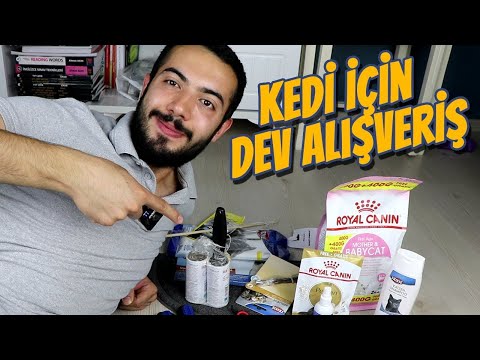 Video: Bir Hamster için Nasıl Bakım