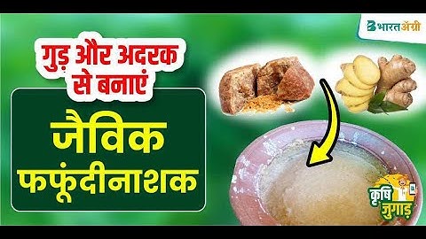 फफूंदी नाशक रसायन घर पर कैसे तैयार करें? | homemade fungicide | jaivik fungicide kaise banaye