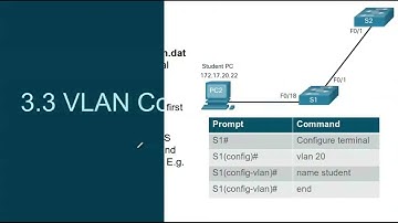 Module 3 VLANs