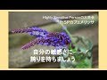 共感できる仲間づくりのために・HSPカフェ / Highly Sensitive Personの定期お茶会