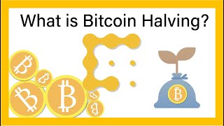 What is the Bitcoin Halving? | CoinDesk Explains