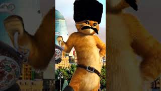 Azerbaijani Puss In Boots