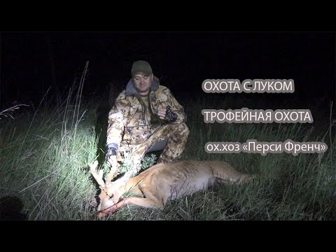 ОХОТА НА САМЦА КОСУЛИ/ОБЗОР ОХОТ ХОЗЯЙСТВА